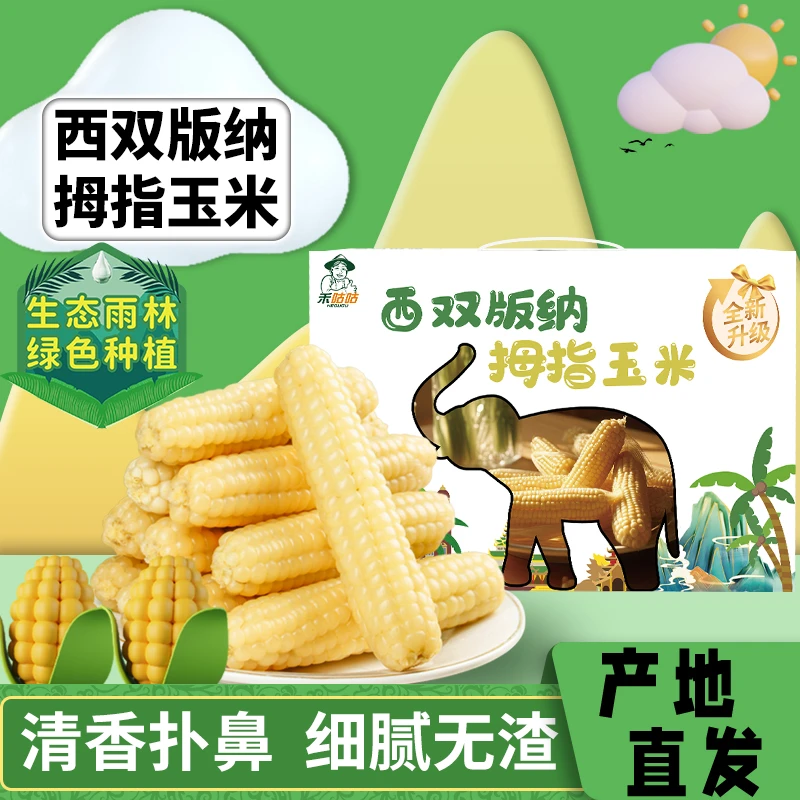 禾咕咕西双版纳拇指玉米1kg健康香糯水果玉米真空礼盒代餐