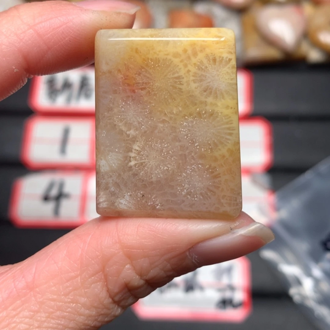 【闪购商品】硅化玉颈饰未镶嵌宁**远