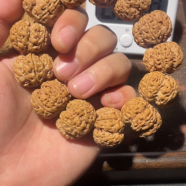 l***F金刚菩提手串五瓣