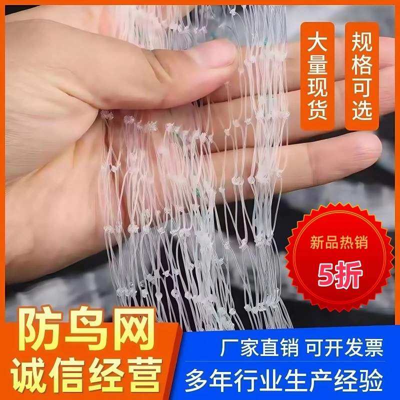 果树防鸟网罩嘉宝果樱桃果园大棚鱼塘天网尼龙防护网菜地阳台家用