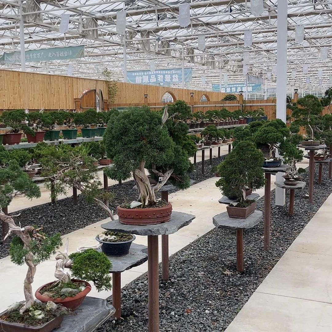 无花朵截图都有啊哈哈好