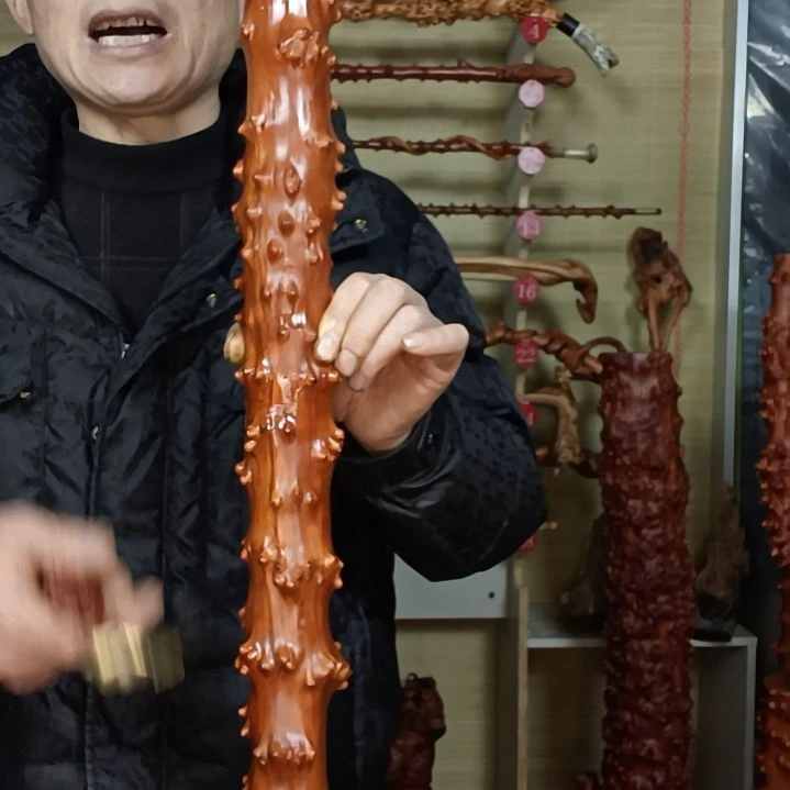 稳定木贵州檬子木   铁马鞭   根艺  半成品
