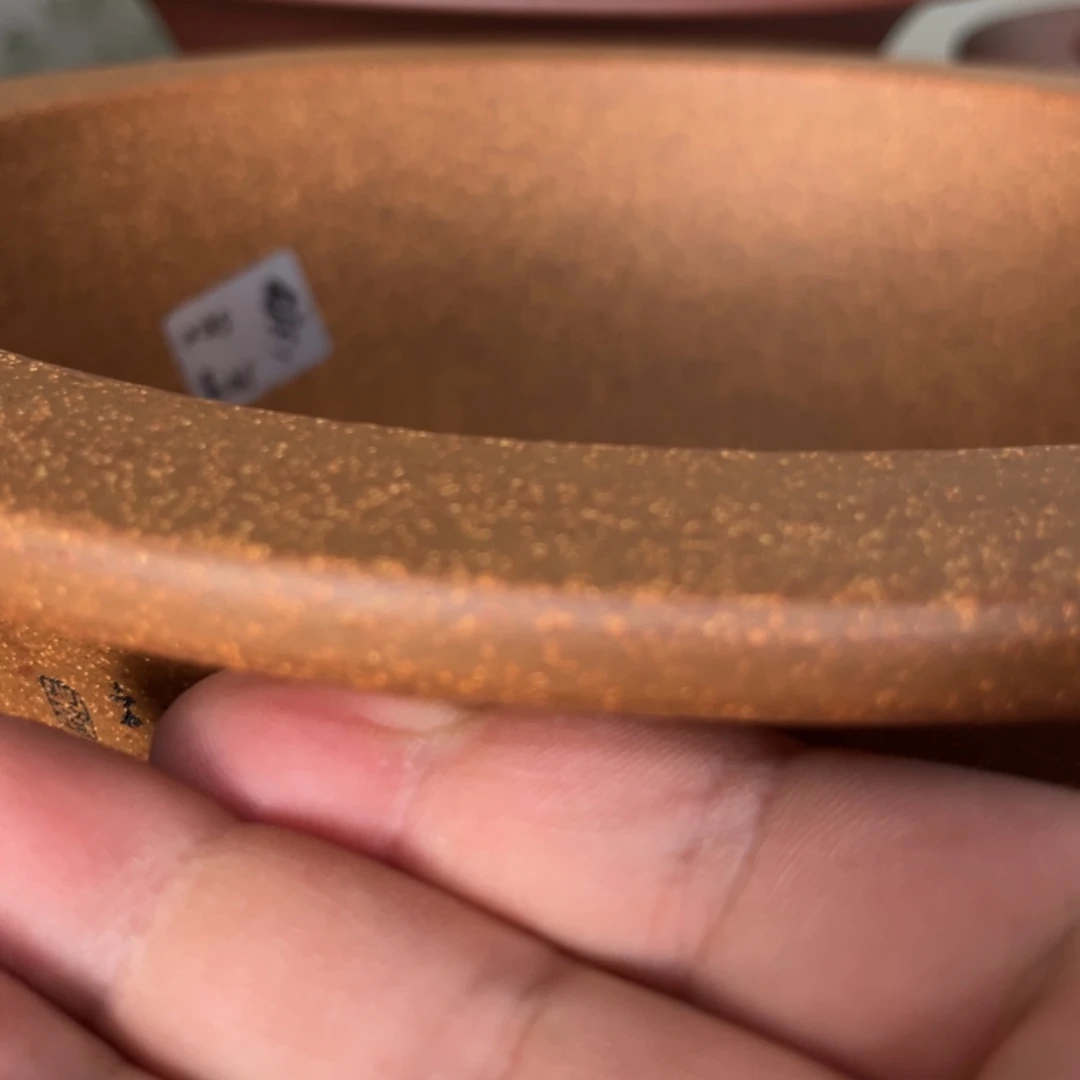 波*杨高温正宗手工花盆