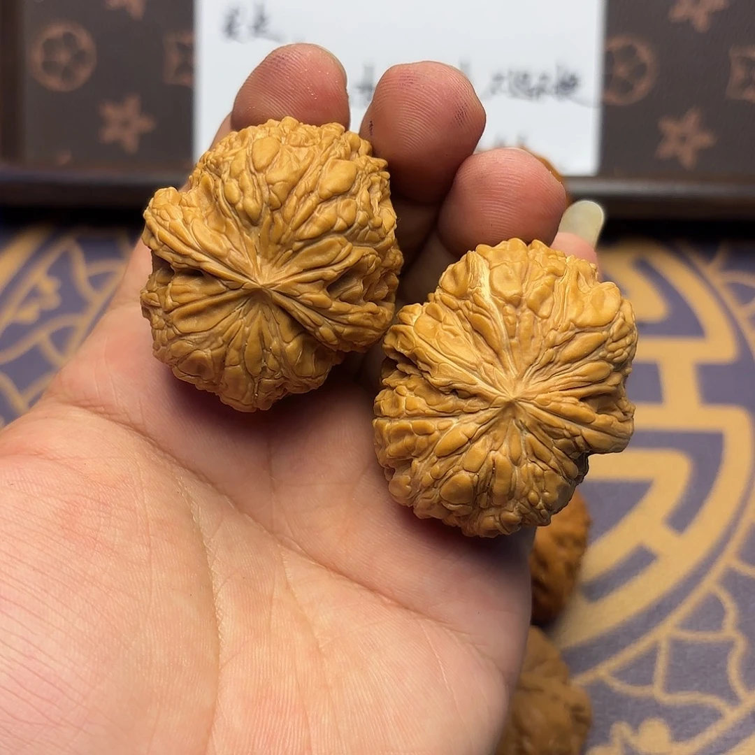 核桃013号 闷墩。福利