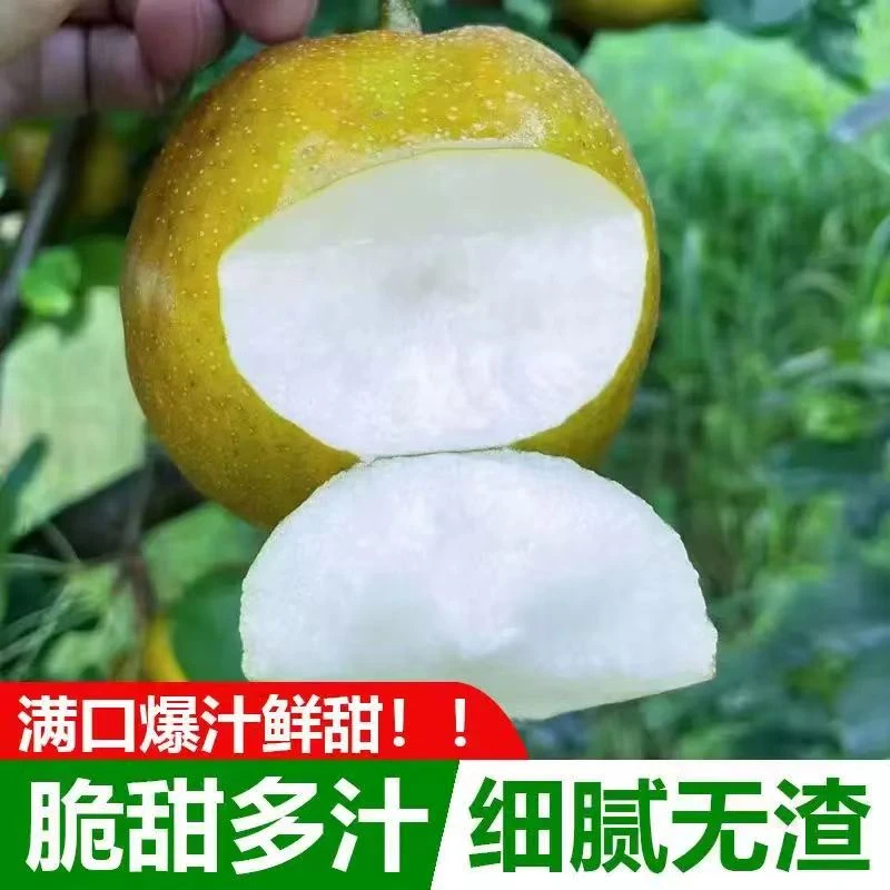 小赵生鲜|翠冠梨4.5斤