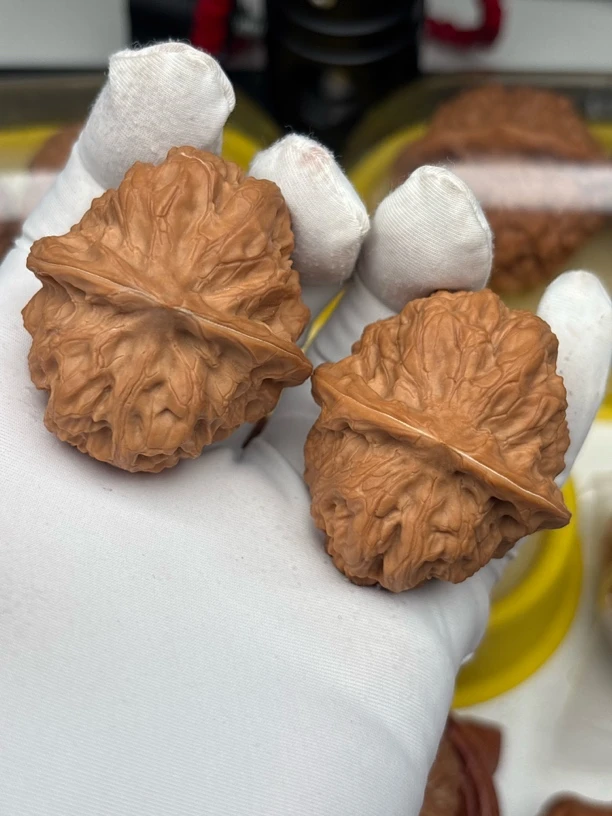 门头元宝（蟾型），全品白茬，肚40边37高32