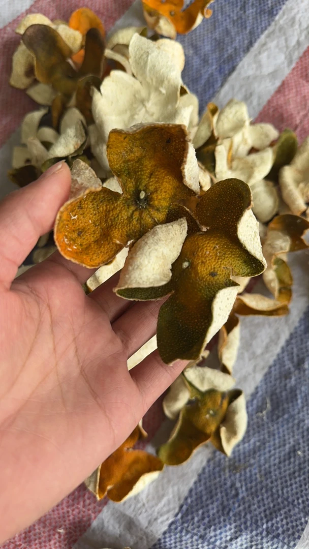 2024年茶枝柑二红中皮