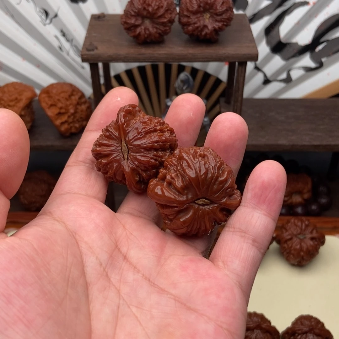 f*r39尺全品老红白狮子