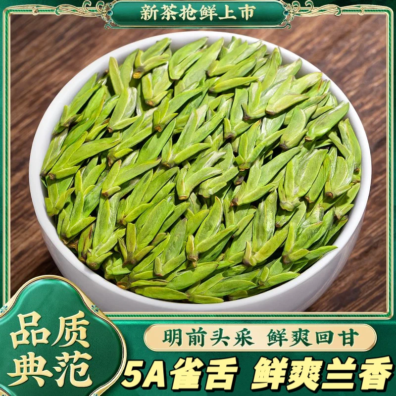 峨眉山头采雀舌 鲜爽花香 芽小汁水多