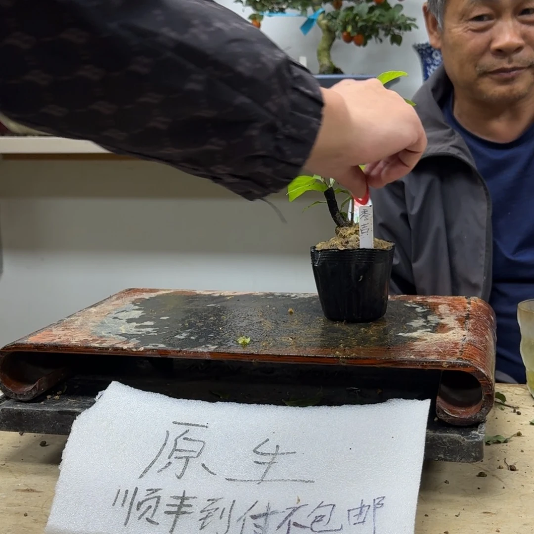 卓***8无花朵646顺丰到付不包邮