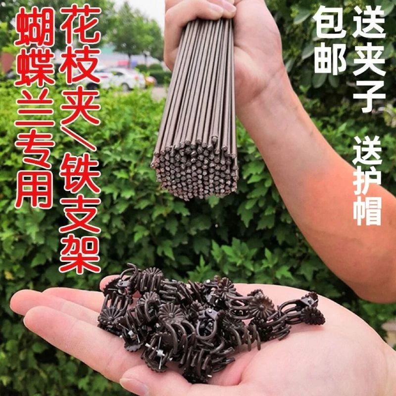蝴蝶兰支架夹子专用固定爬藤类造型铁丝防倒伏园艺花卉植物支撑杆