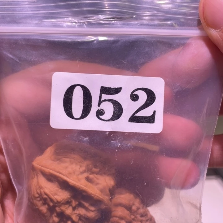 阿***S吊坠文玩核桃052平谷凹底