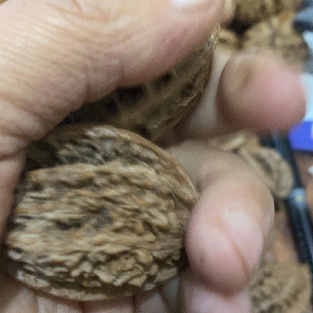 D****R秦岭山脉东面临渤海边缘