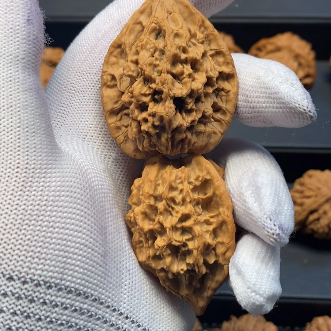 乐***中38尺秦岭野生鸡心