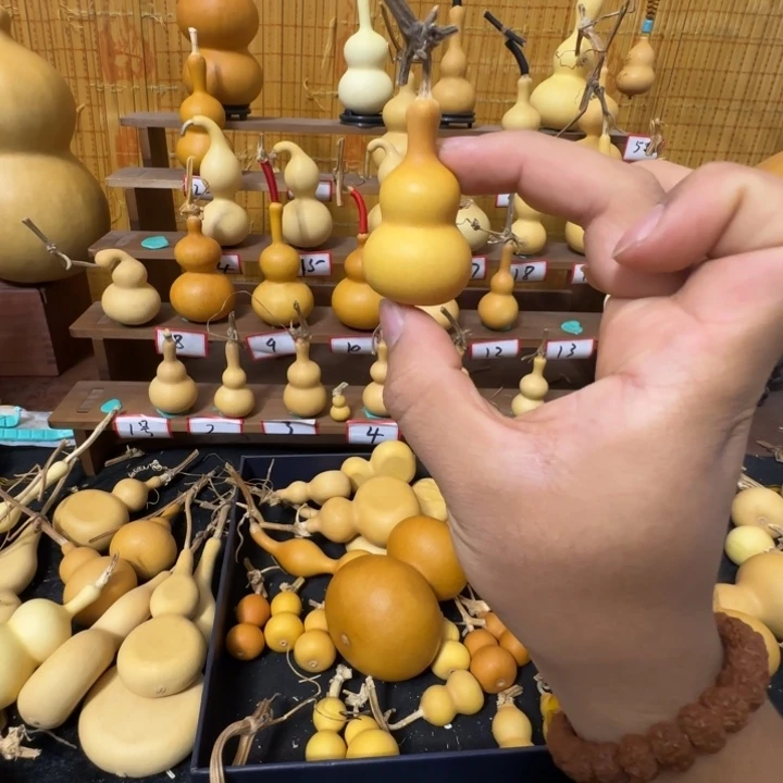 蕭***張葫芦葫芦葫芦葫芦100