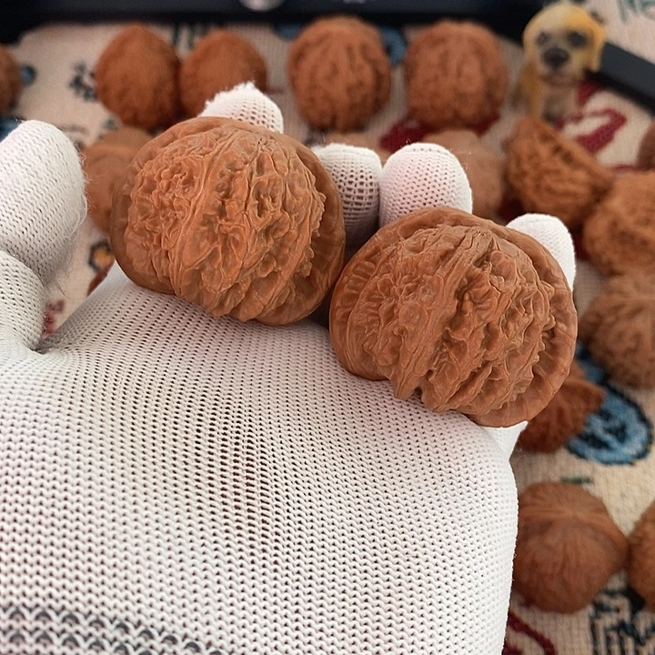 文玩核桃把件白狮子