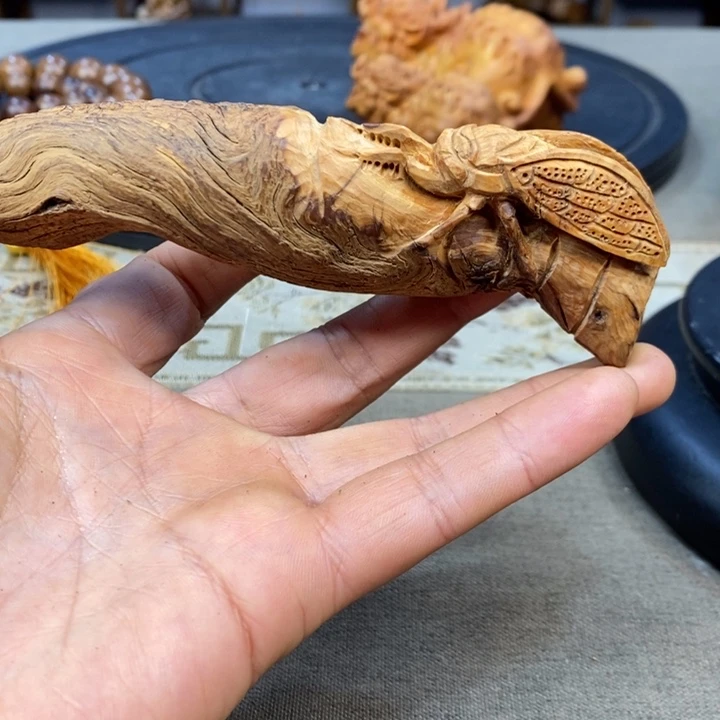 柏木（崖柏）崖柏1