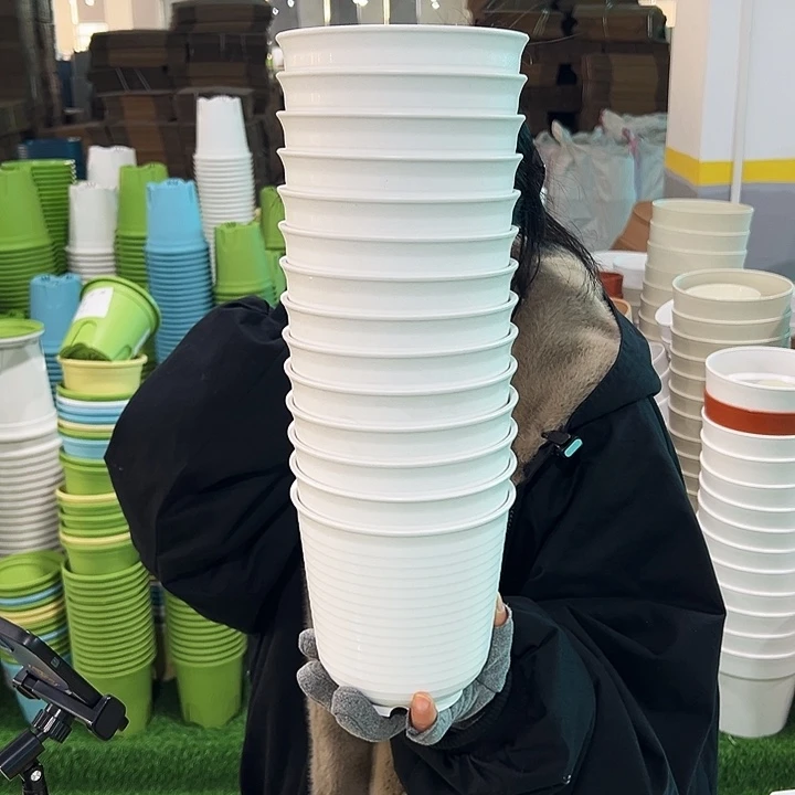 正品高陶口15高15白色8个无托