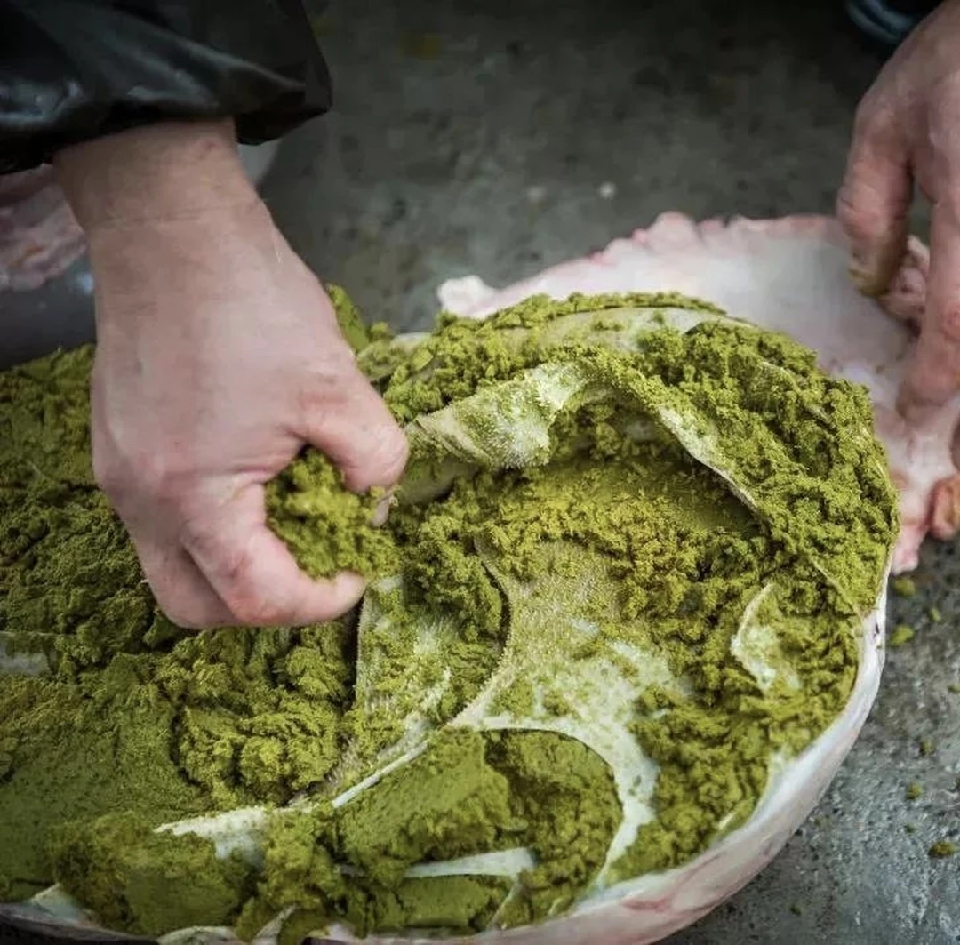 贵州小黄牛 本地小黄牛