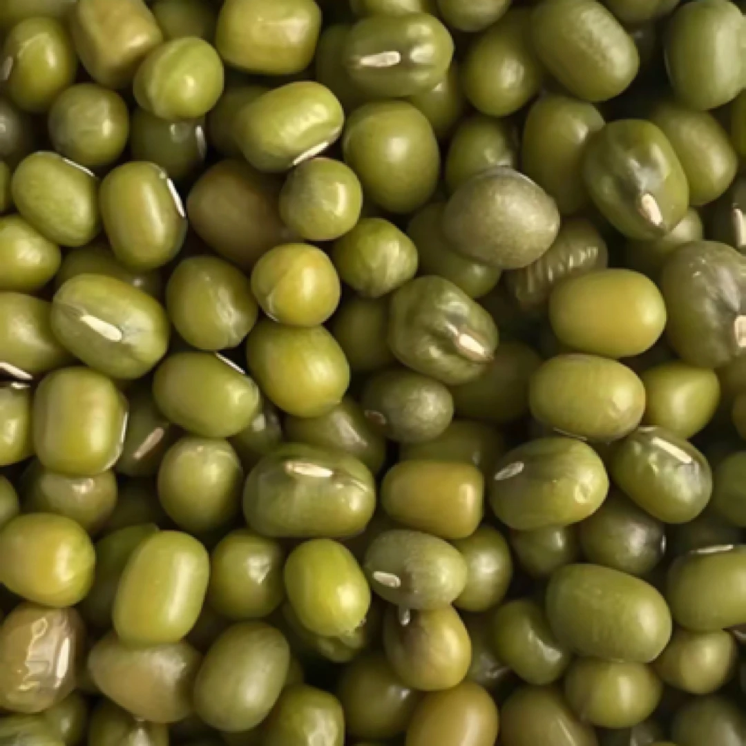 湖南高山农家新鲜绿豆适合熬粥煲汤解暑营养丰富可