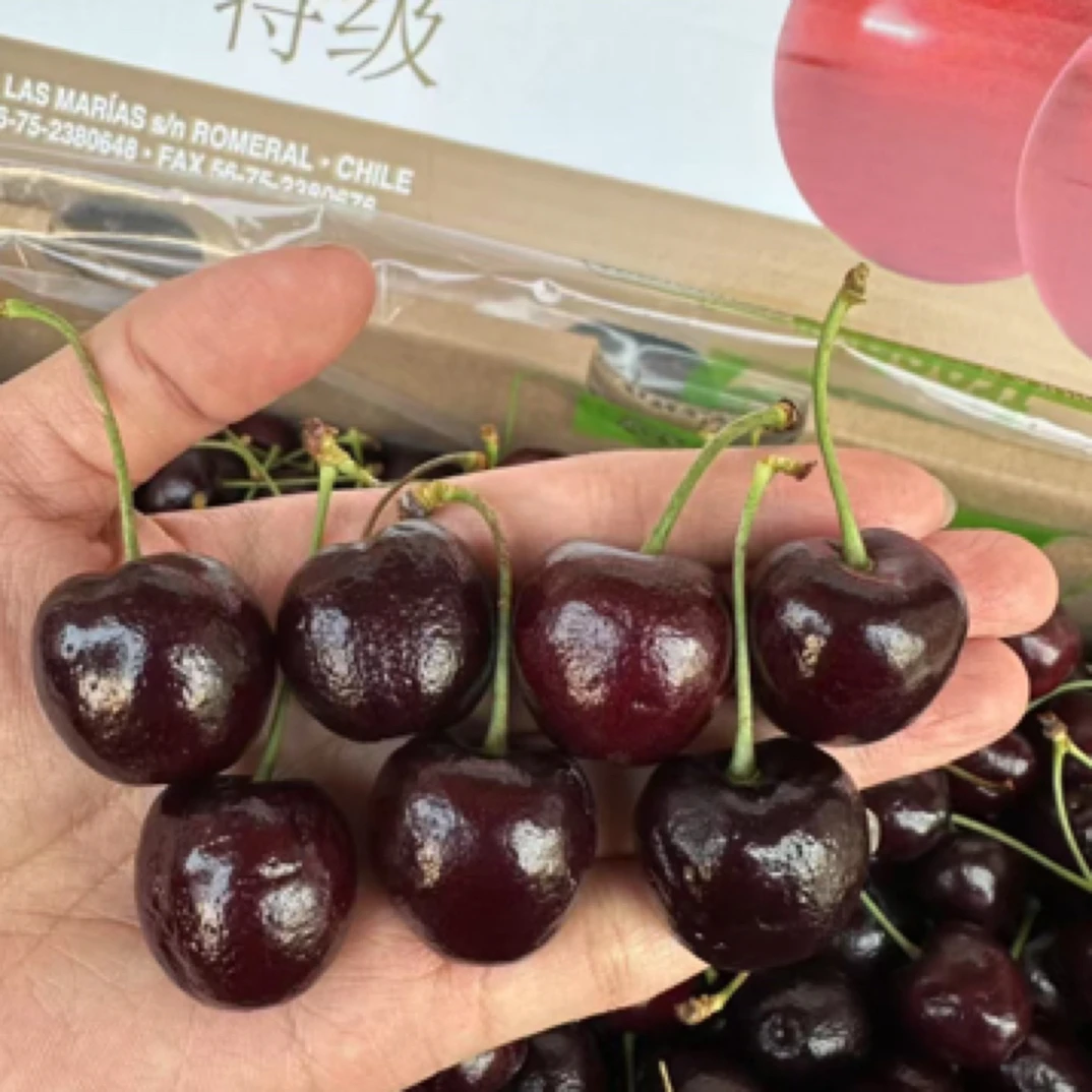 纯冰XLD车厘子2斤（赠送草莓1盒）