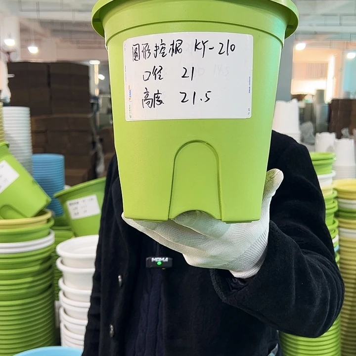 正品圆控口21高21果绿5只无托