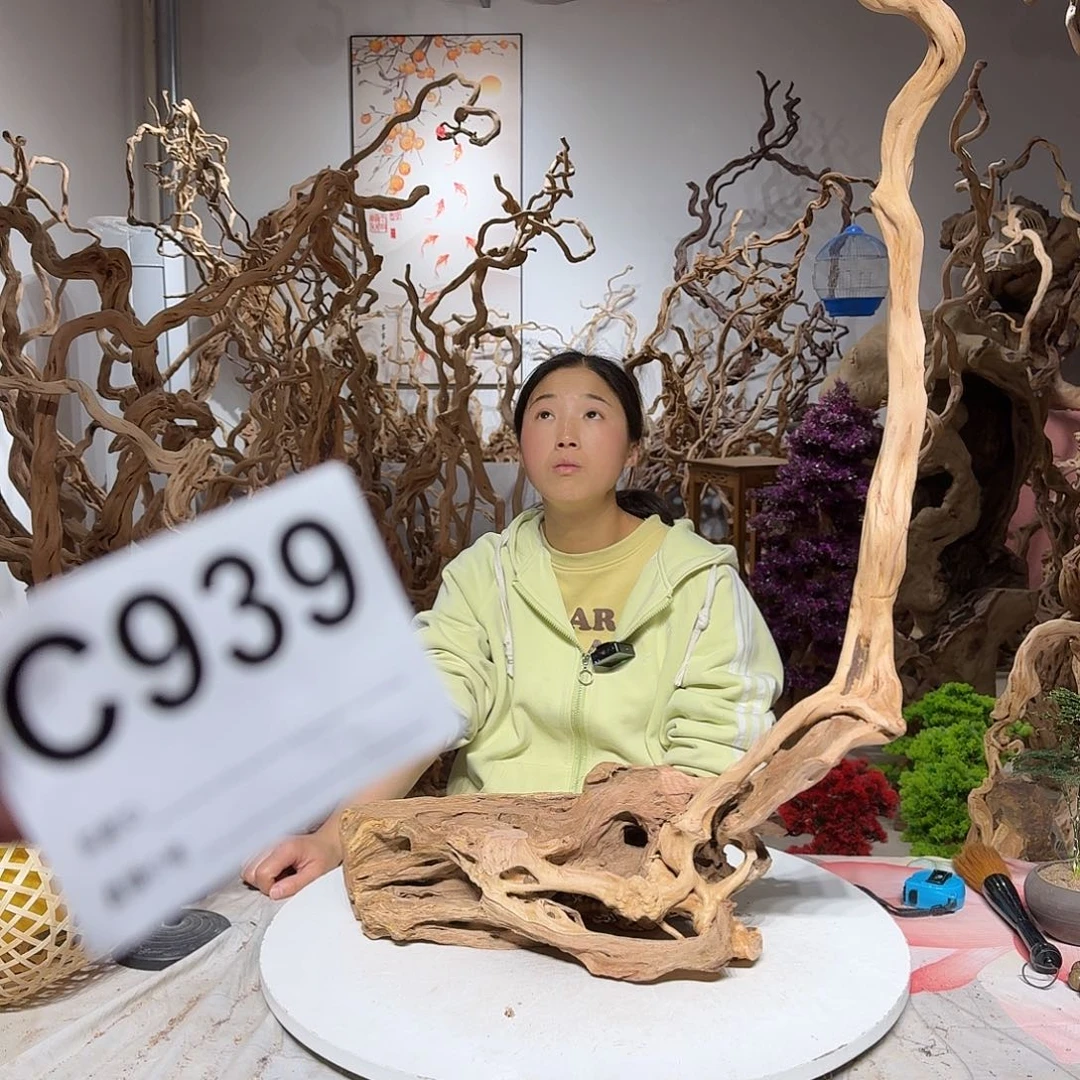 风车木（黑檀木）小**…