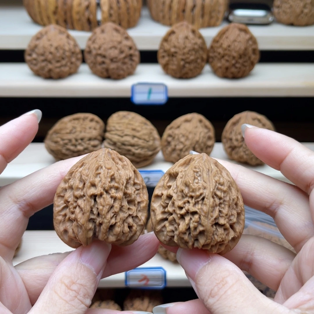 文玩核桃把件涿鹿溜肩