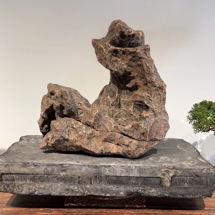 海**清红太湖石本太裸石