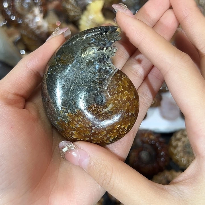 睡***够精品系列产品摆件24679