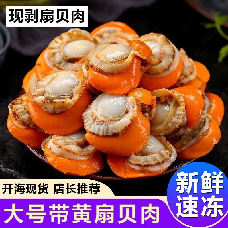 【5斤装顺丰包邮】带膏带黄新鲜扇贝肉美味海鲜包邮到家