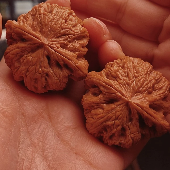 核桃45尺大粗筋核桃