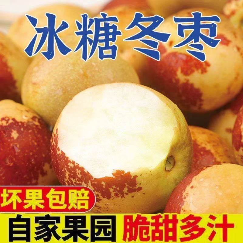 正宗山东沾化冰糖冬枣新鲜现摘脆甜应季水果