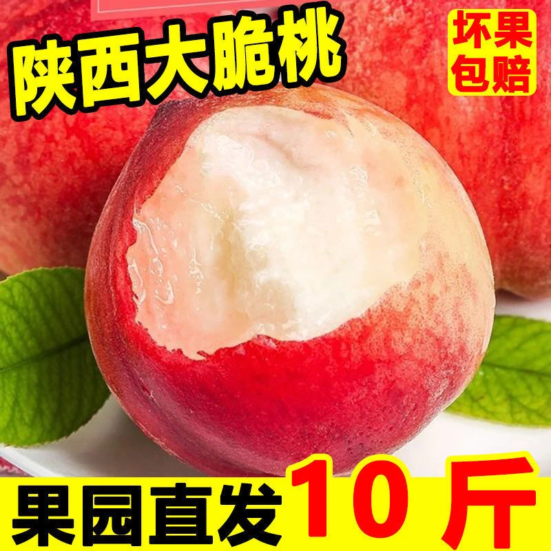 [现摘现发]买五斤送五斤陕西脆蜜桃新鲜脆甜现摘桃子当季水果