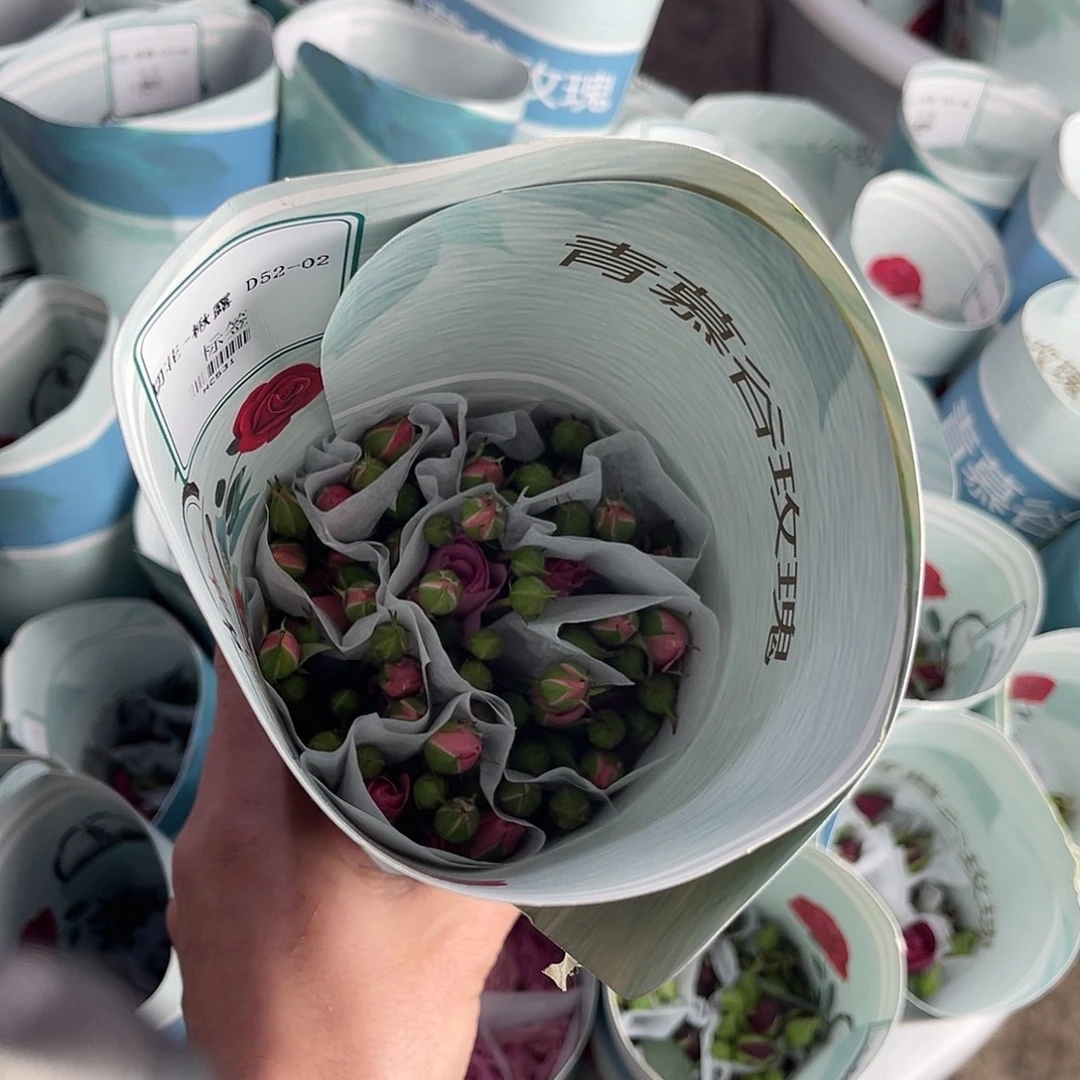 全部花苞青幕谷（秋露）一扎