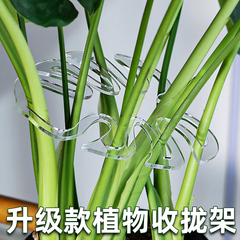 CPAI植物水培花茎固定器防到伏透明塑料龟背植物根茎生长支架支撑