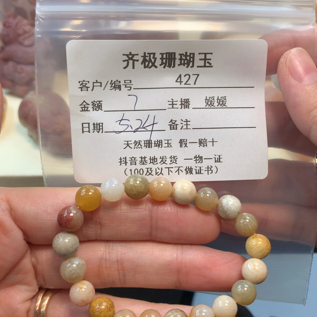 硅化珊瑚（珊瑚玉）未镶嵌颈饰小***笋