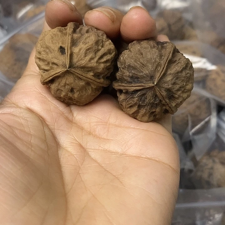 核桃云南铁核桃基地13