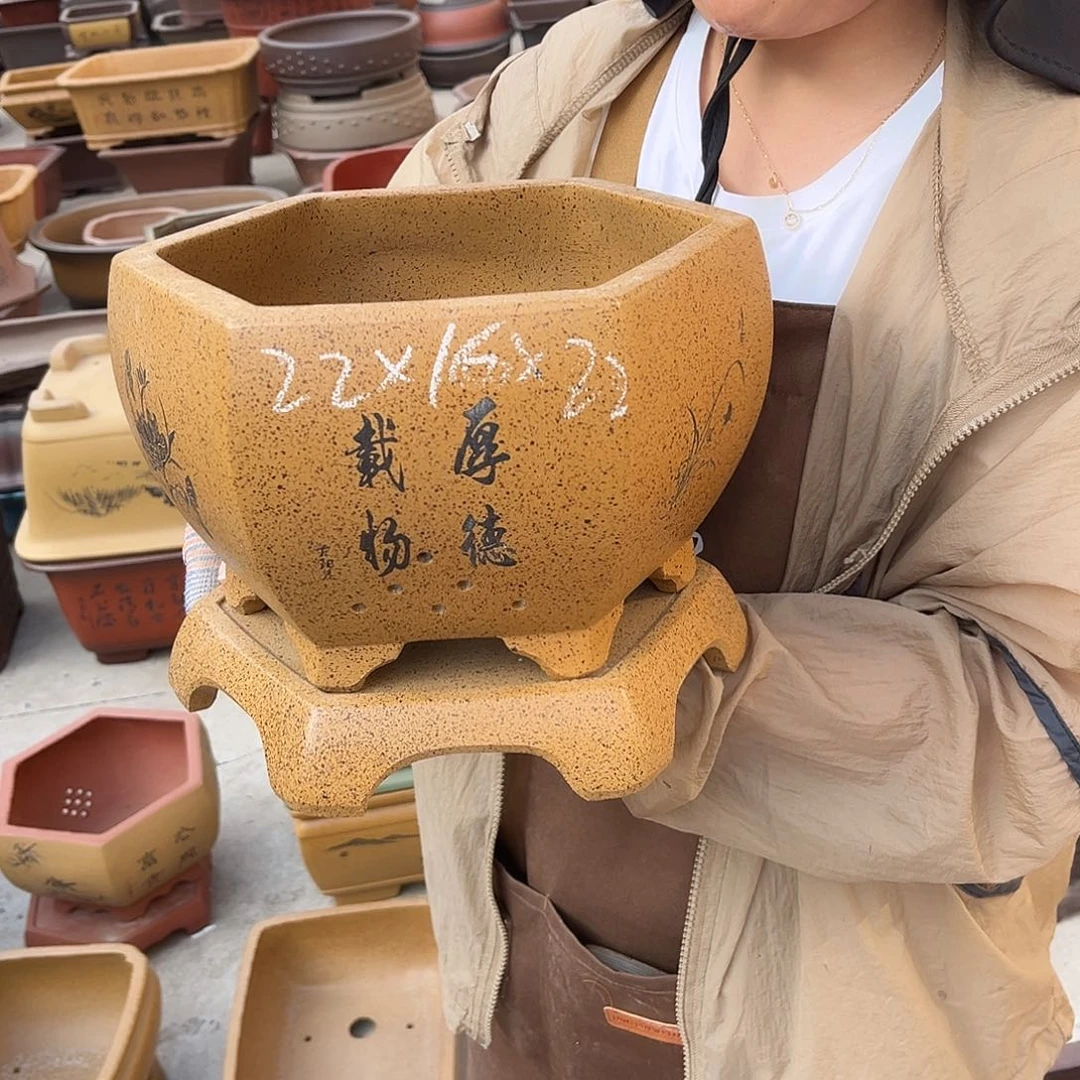 紫砂花盆盆景艺术