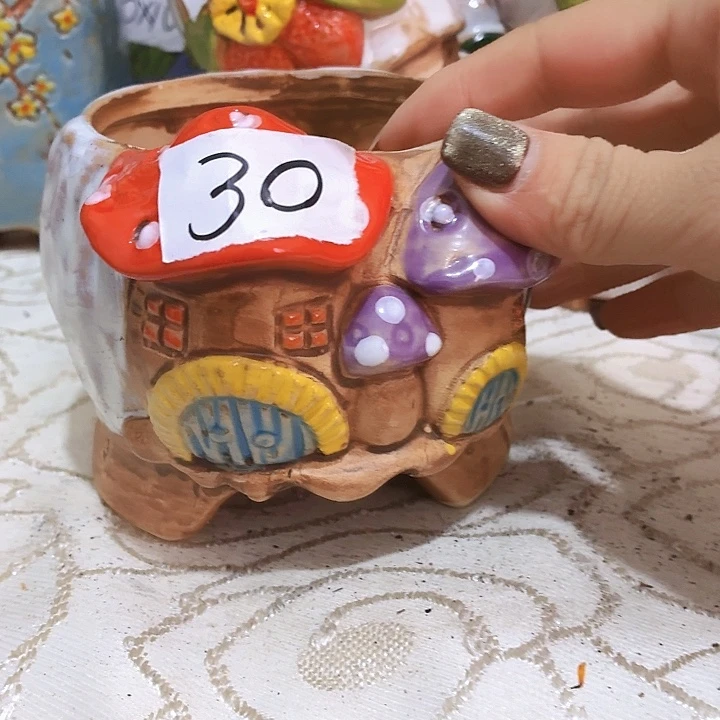 多肉花盆满15包邮