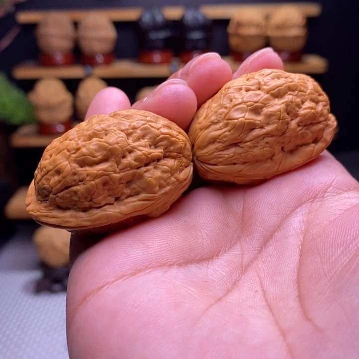 木质类云铁黄金叶31号