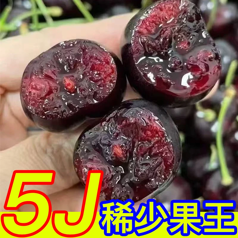 【5J果王】智利进口空运黑车厘子桑缇娜5J净重800g-5斤0内附果径卡