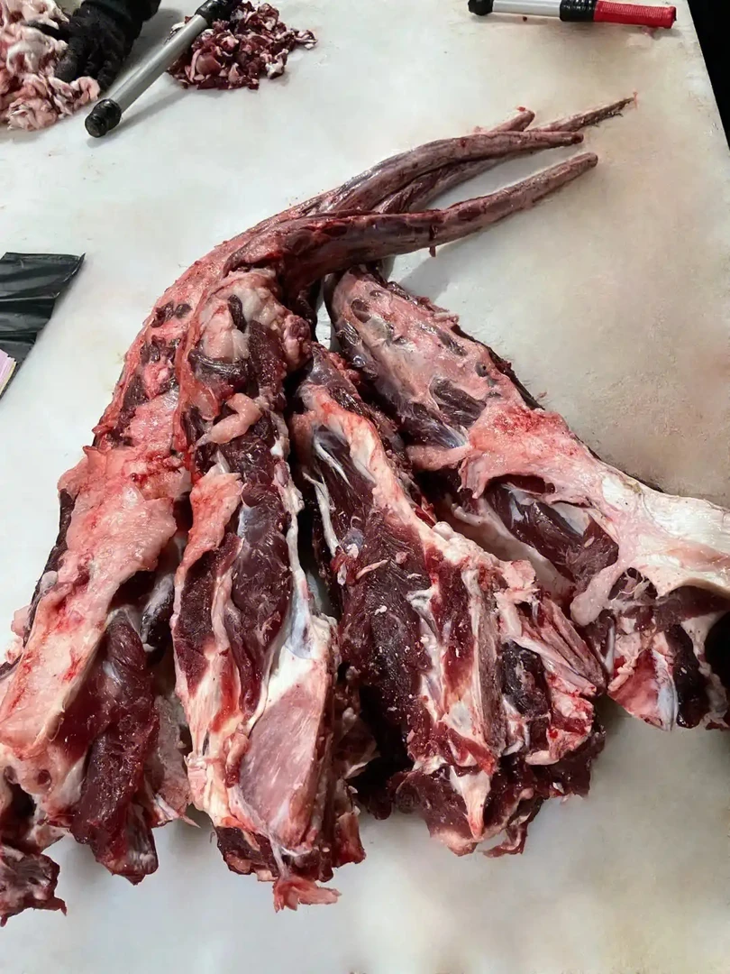 牤牛牛尾，牛尾红烧