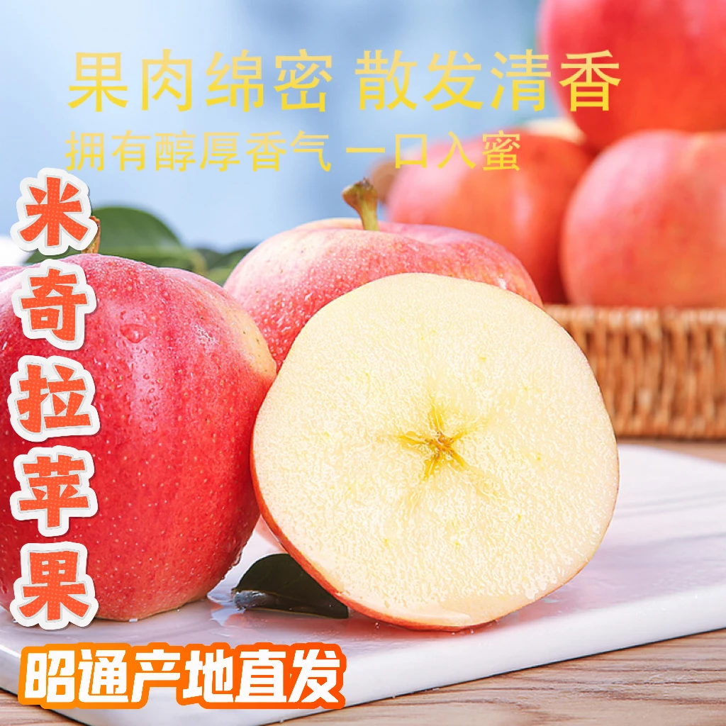云南昭通米奇拉粉糯脆甜多汁苹果现摘新鲜当季水果老人宝宝孕妈妈