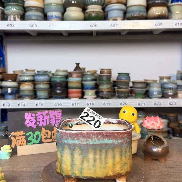 花****)景德镇手工陶瓷盆 口12