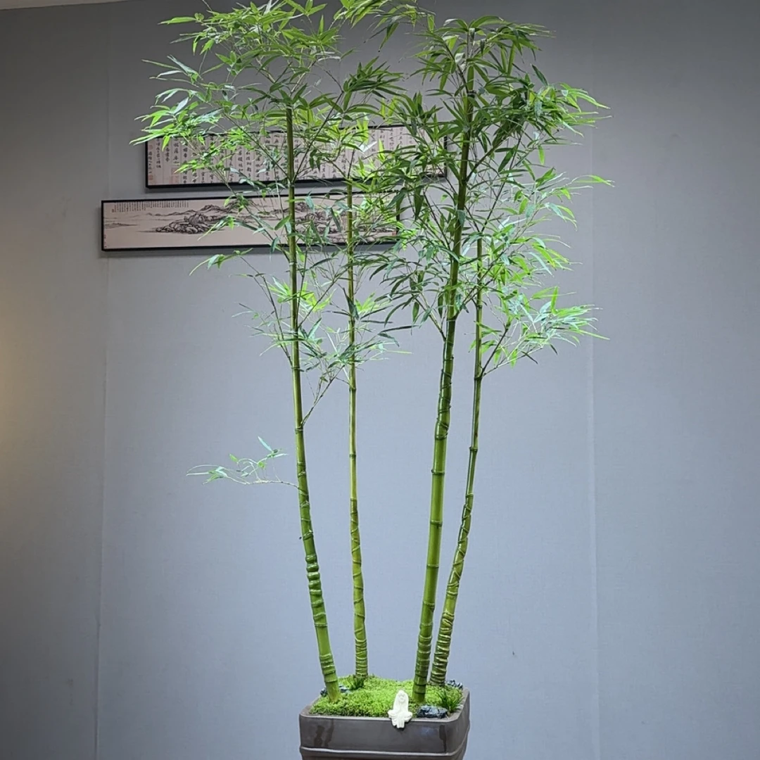 丛林精品龙鳞竹盆景 茶室意境款竹盆景808款4杆【少东家手艺盆景】