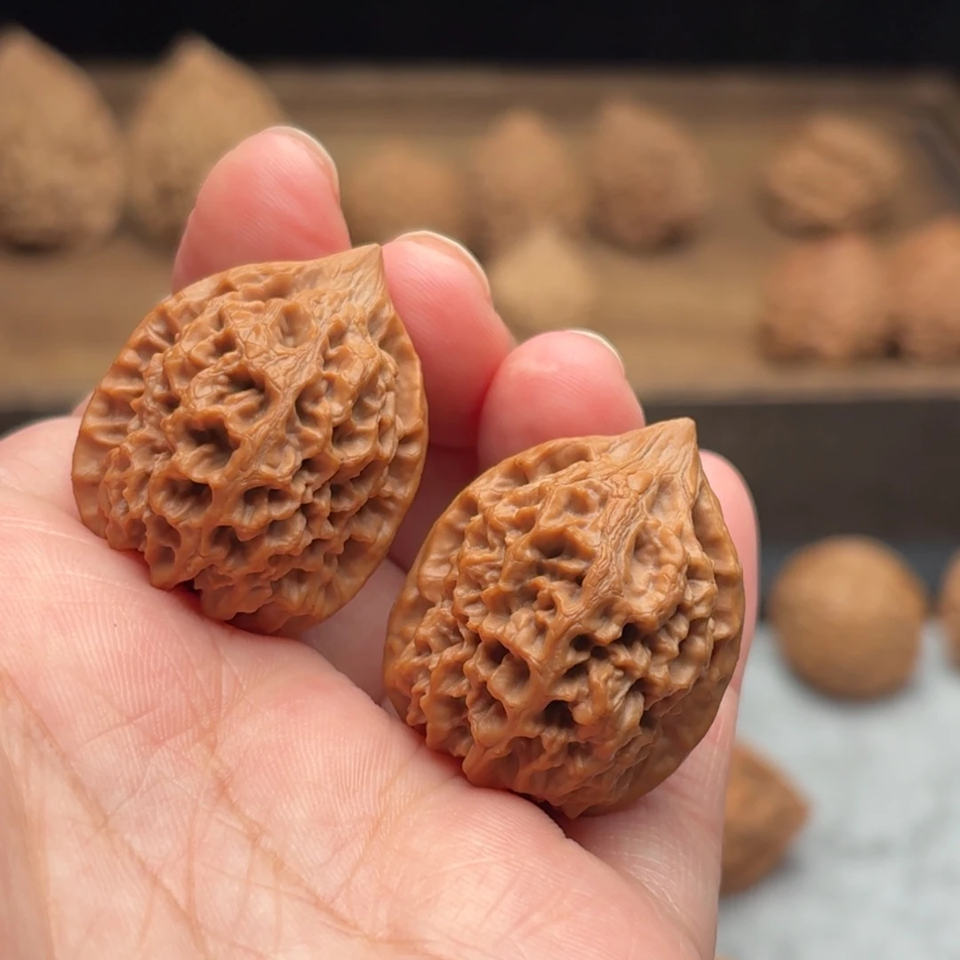 吊坠文玩核桃太行龙纹【2801】