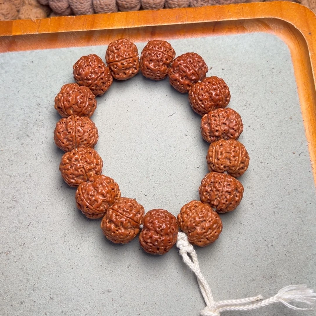 菩提22号金刚菩提蜂窝21