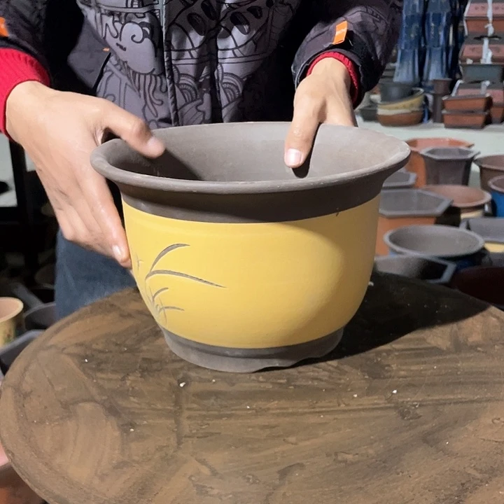 26黄色平角金钟花盆