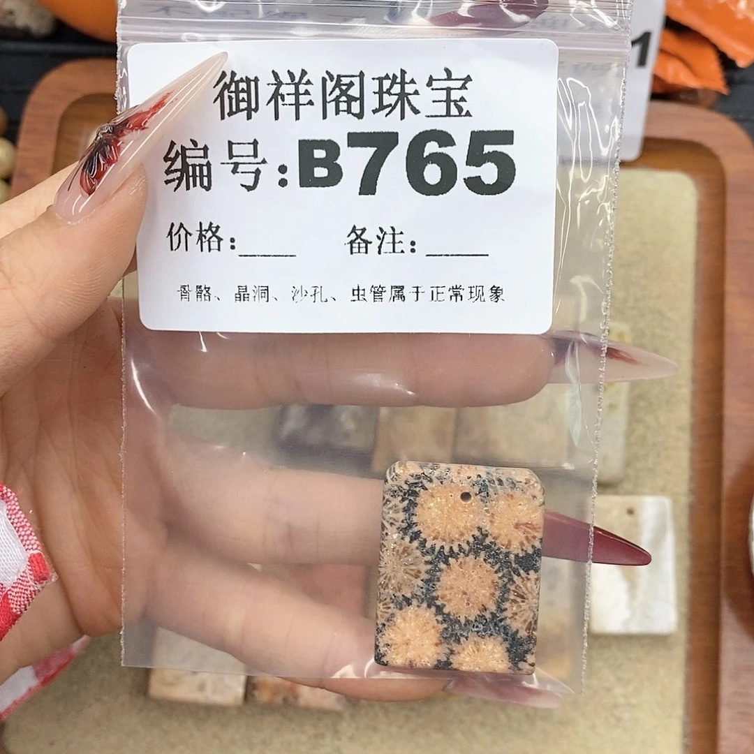 硅化珊瑚（珊瑚玉）颈饰未镶嵌A*o
